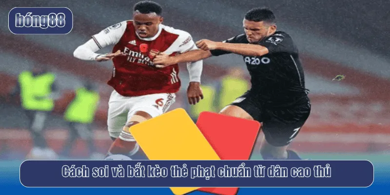 Cách soi và bắt kèo thẻ phạt chuẩn từ dân cao thủ
