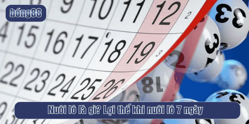 Nuôi lô giúp người chơi có kế hoạch rõ ràng và chủ động kiểm soát dòng tiền