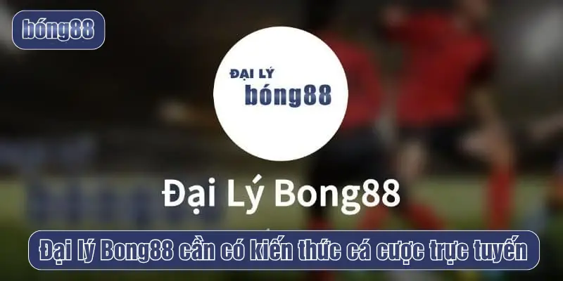 Đại lý Bong88 cần có kiến thức cá cược trực tuyến
