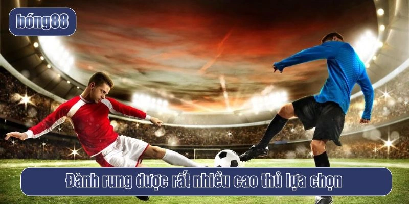 Đành rung được rất nhiều cao thủ lựa chọn