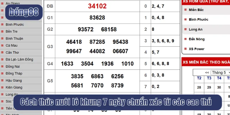 Nuôi lô khung 7 ngày chuẩn xác từ các cao thủ
