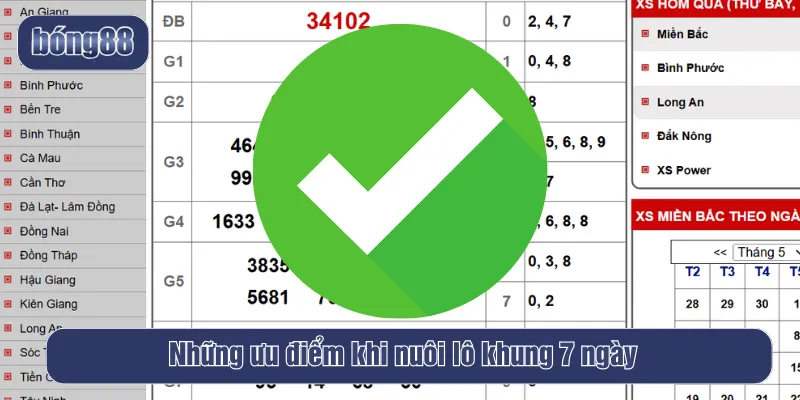 Những ưu điểm khi nuôi lô khung 7 ngày