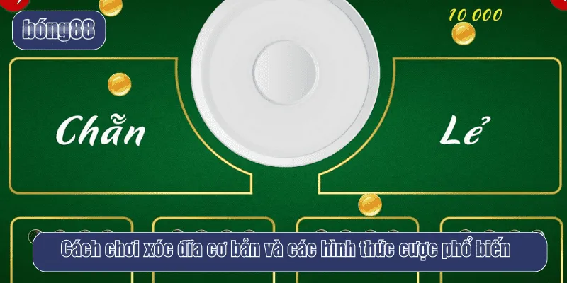 Cách chơi xóc đĩa cơ bản và các hình thức cược phổ biến