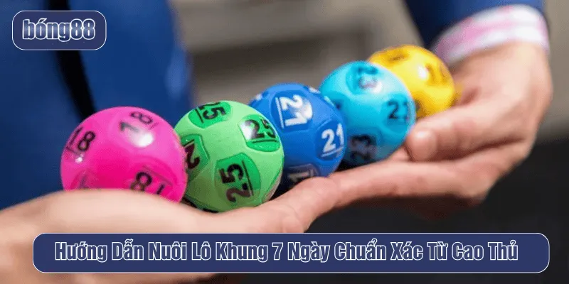 nuôi lô khung 7 ngày
