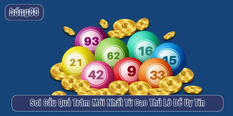soi cầu quả trám